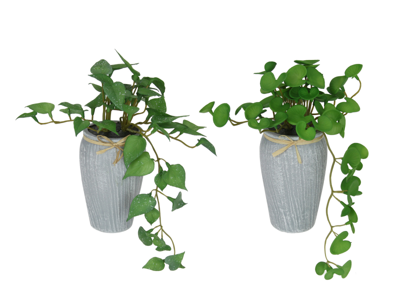21cm Green Plant in Grey Decor Pot 2 Asstd