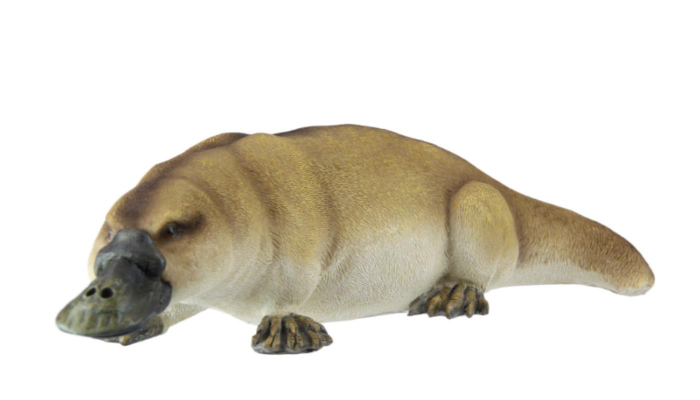 41cm Realistic Platypus