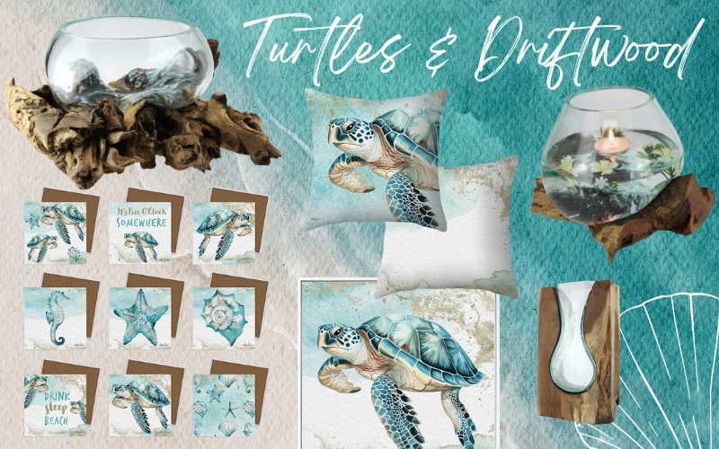 Turtles & Driftwood... the perfect combination!