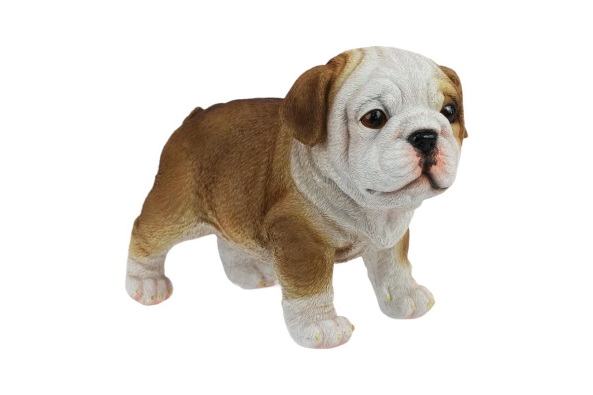 21cm Bulldog Puppy