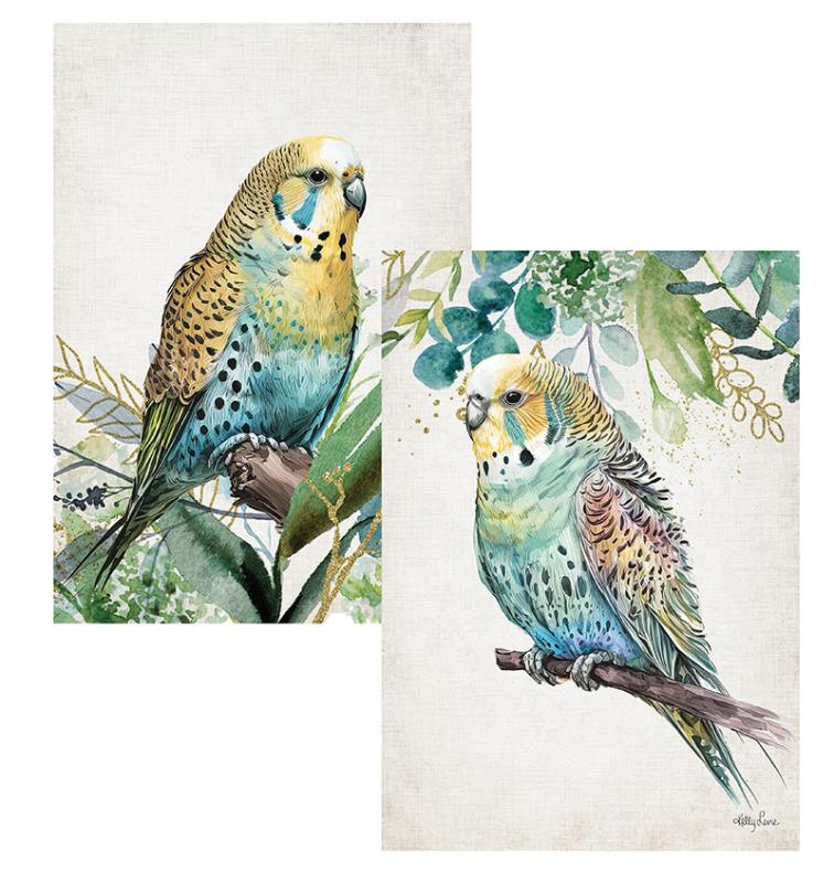 Budgie 40x60cm Polyester Tea Towel 2 Asstd by Kelly Lane