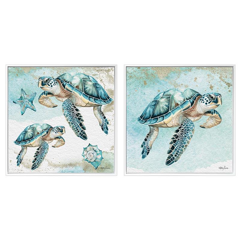 Aqua Turtle 40x40cm Shadow Framed Canvas 2 Asstd by Kelly Lane