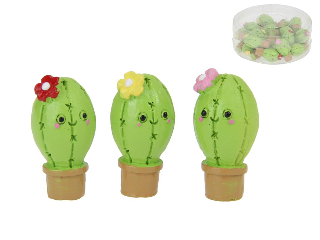 Miniature Cactus Flower with Fun Face 3 Asstd