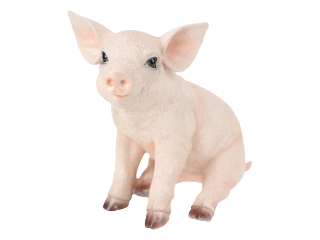 24cm Sitting Pink Pig