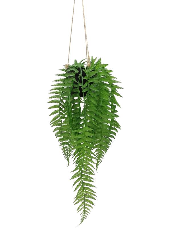 75cm Hanging Green Fern