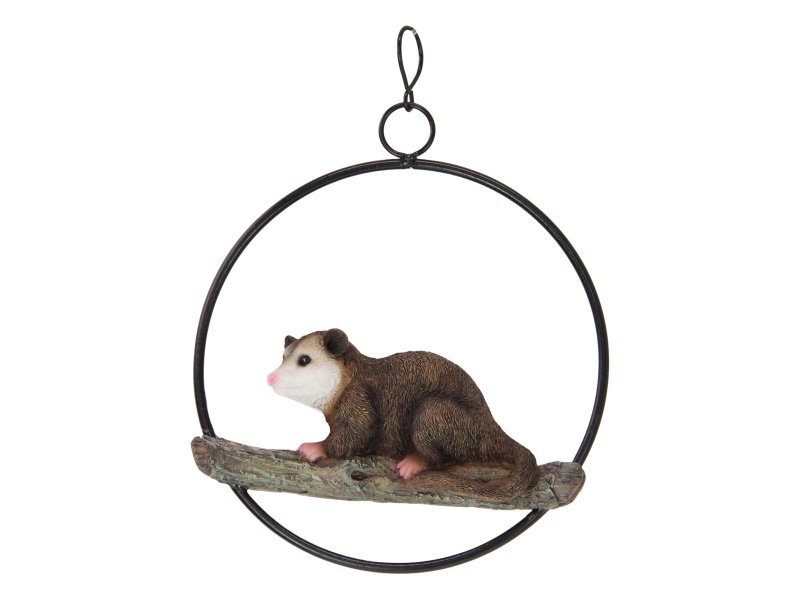 18cm Possum in Ring