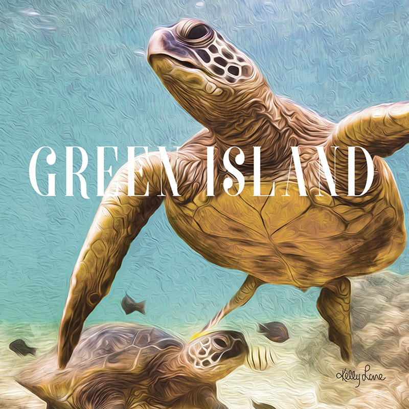 20x20cm Canvas Green Island Turtle by Kelly Lane